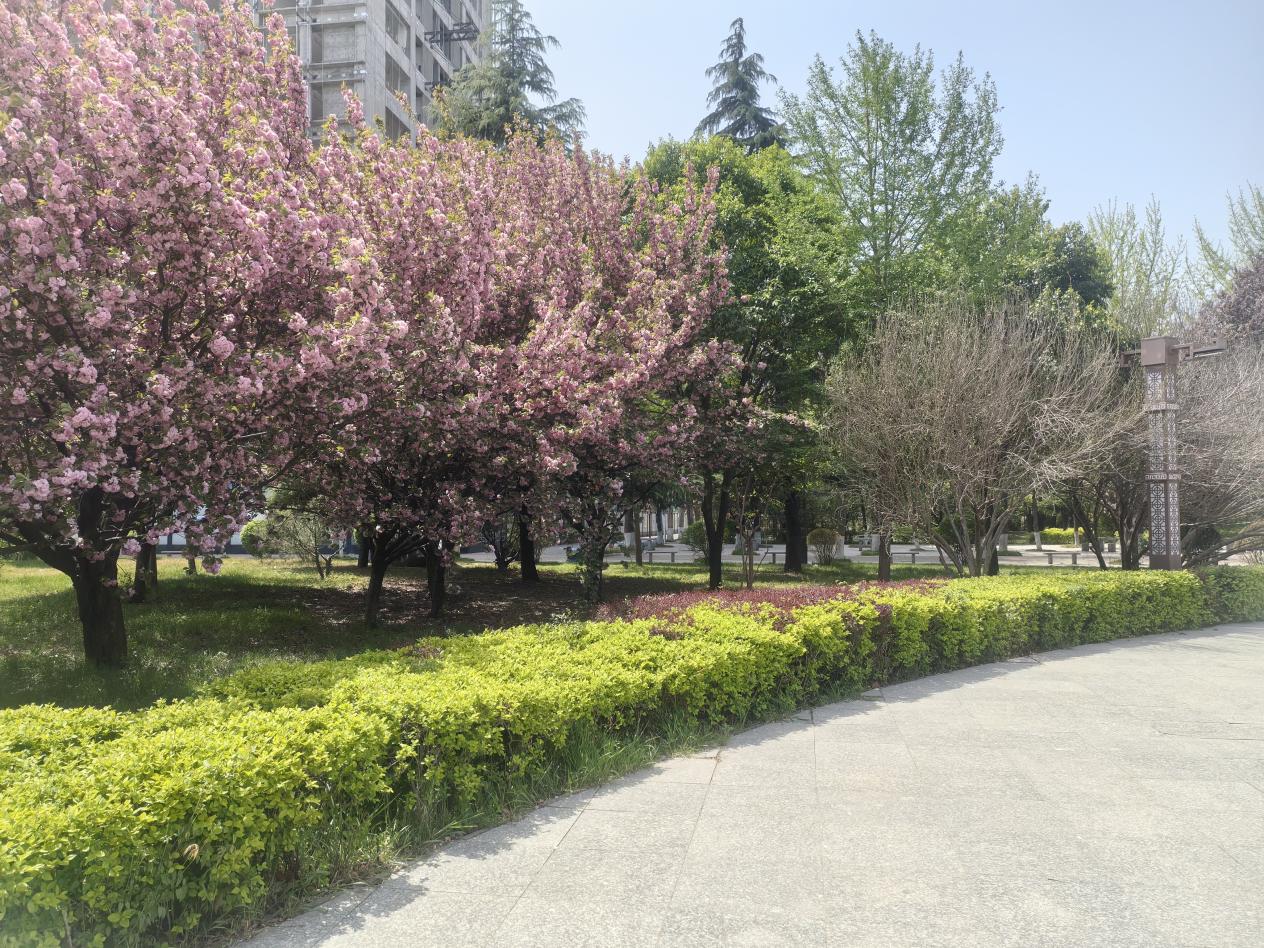 d88f160611eca14ec7ad386b464bc78 d88f160611eca14ec7ad386b464bc78